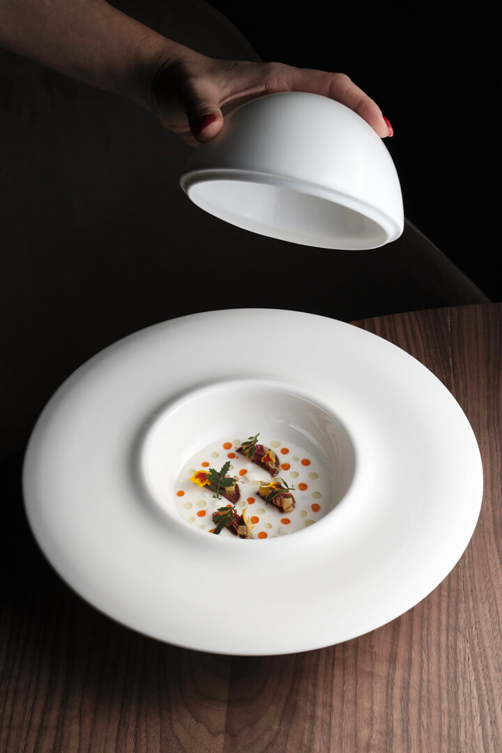 Spazio Vegetale